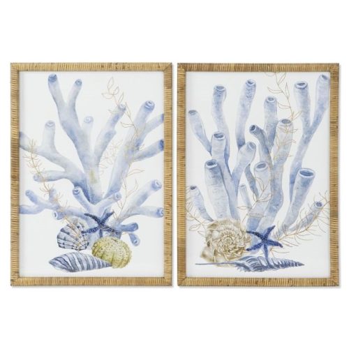 Kép korall kagylókkal 50x2,5x70 cm 2 féle