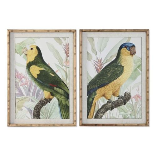 Kép keretes, papagáj 50x2,5x70 cm 2féle