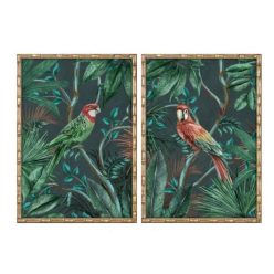 Kép keretes, papagáj 50x2,8x70 cm 2féle