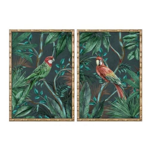 Kép keretes, papagáj 50x2,8x70 cm 2féle
